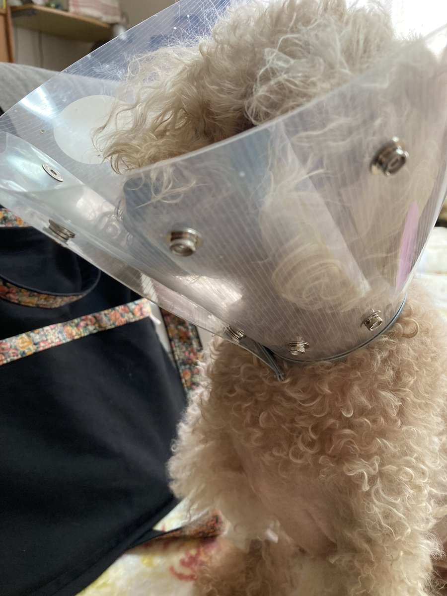 Yu_1569_'s tweet image. 緊急手術して入院してたけどとりあえず退院出来て良かった；；