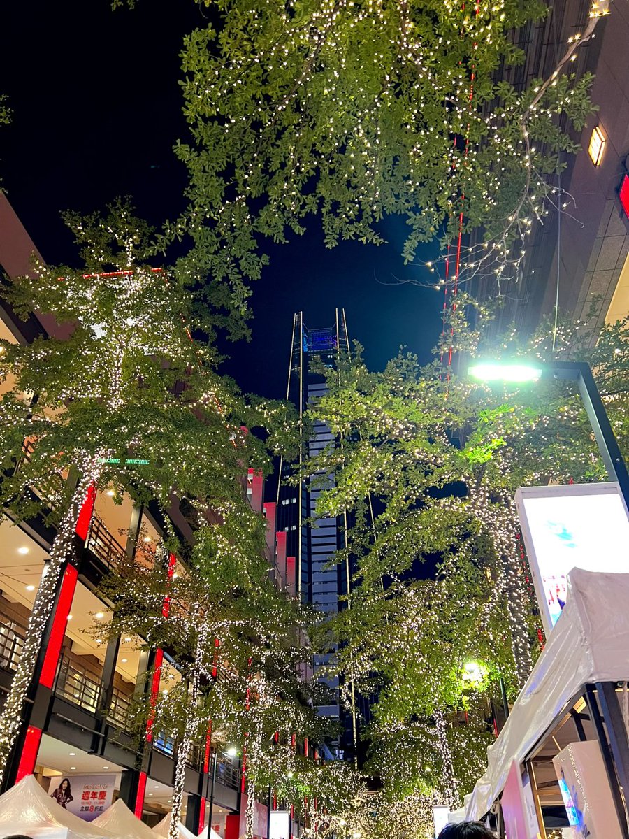 かおり☘ tweet media