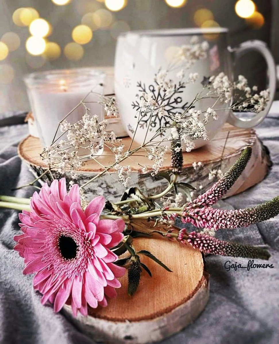 #السعادة
ليست محطة نصلها ، بل حالة قلب تزهر بالرضا ،
وتكبر بالشكر لما مضى ، وتضيء بالأمل فيما هو آتٍ
صباح الخـــــــيرات والمــــســـرات ...🌹
#صباح_الخير
#عطور_الاقلام