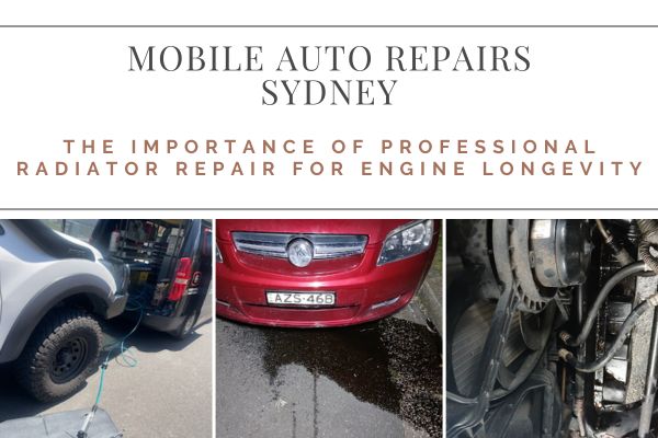 Mobile Auto Repairs Sydney tweet media