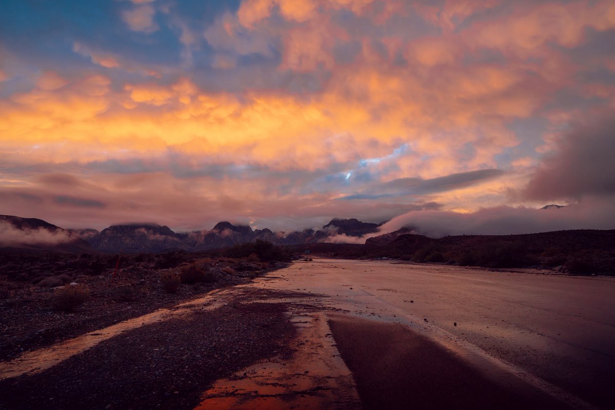 AstonMartinF1's tweet image. Desert sunsets. 🌅 

#LasVegasGP