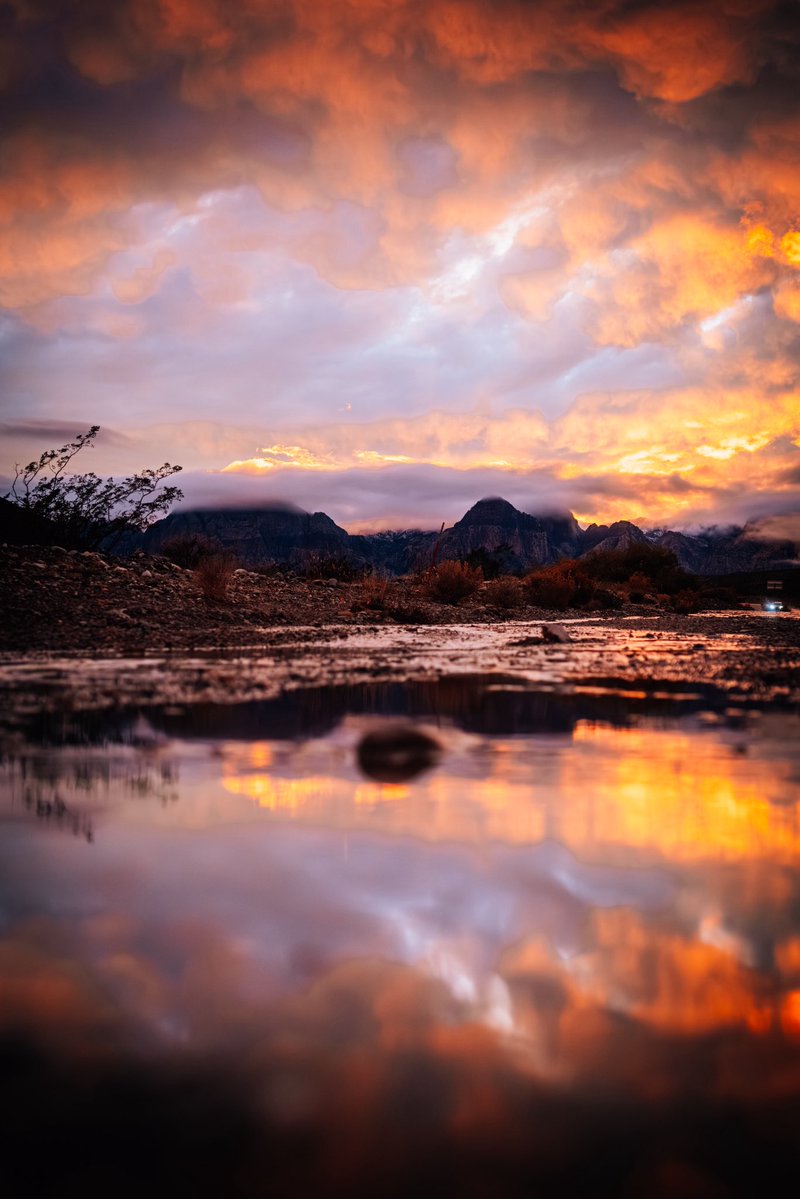 AstonMartinF1's tweet image. Desert sunsets. 🌅 

#LasVegasGP