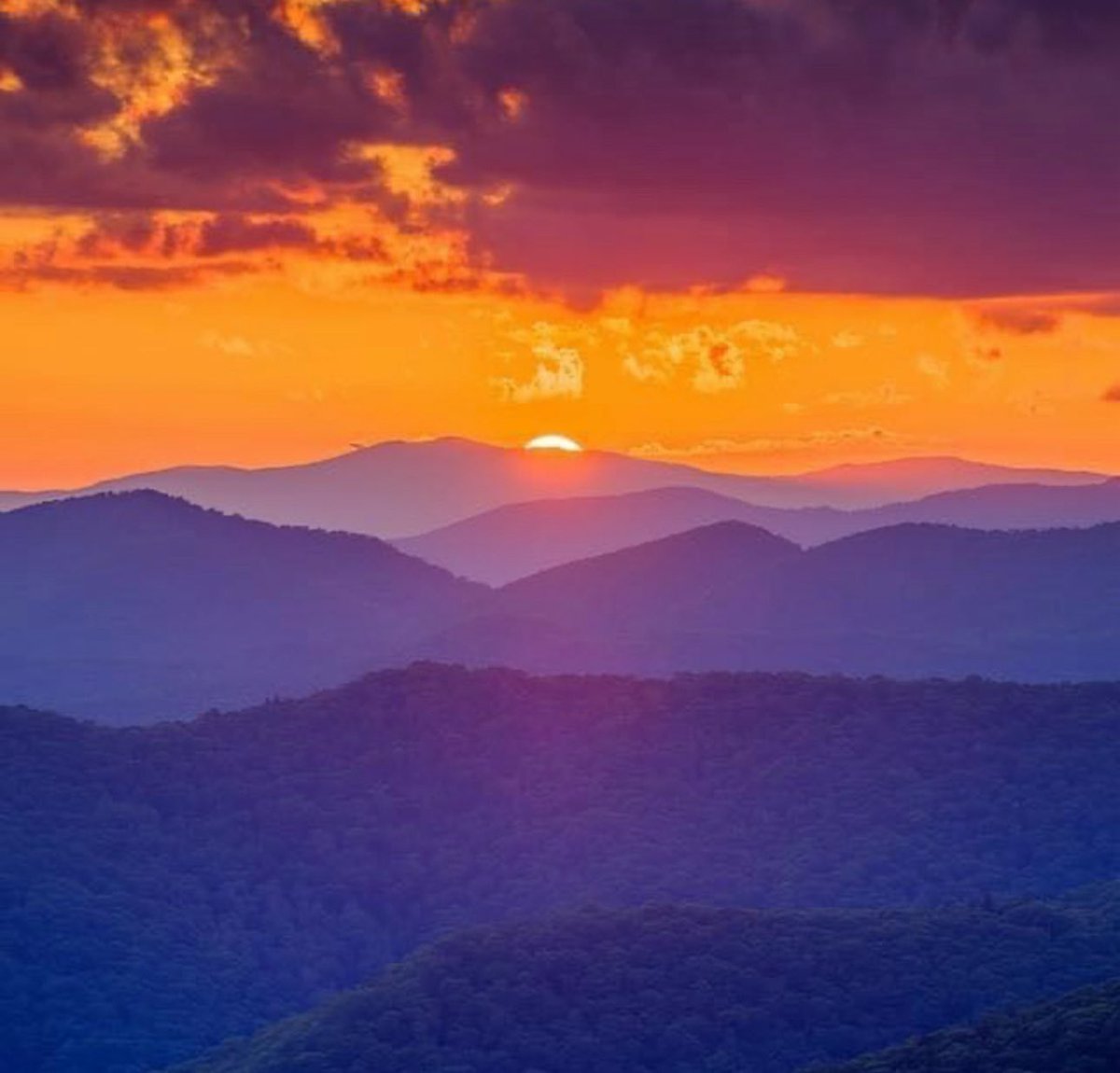 RT @BowTiedBroke: 아, 저는 동의 못 하겠어요. 테네시 동부에 있는 제 뒷마당이 당신네들보다 훨씬 나을 것 같아요.