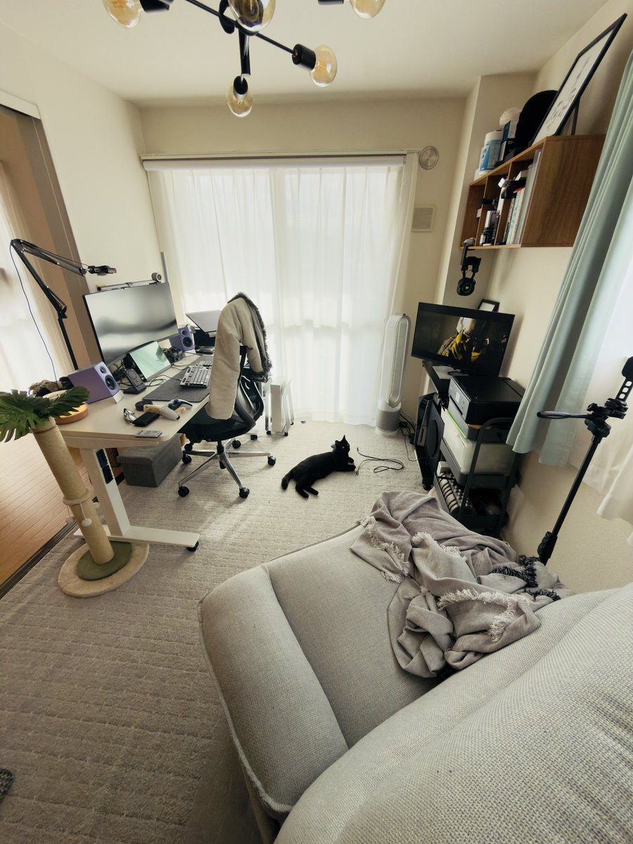 必見❤️初心者向けすぐ使える❤️ネットや事務に動画編集❣️Windows11❤️ Free] Recommended for beginners! Windows 11 video editing software