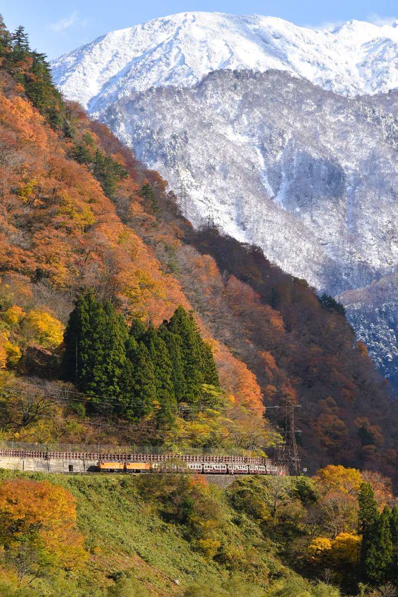 Kurobe_Unazuki's tweet image. ＃紅葉 ＃黒部峡谷 ＃トロッコ電車