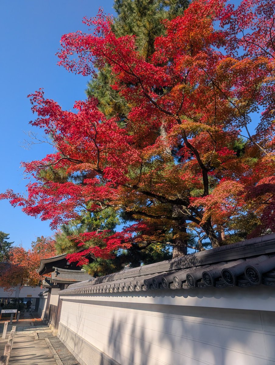 Nothing beats shitting on your own porcelain throne at home after a long trip 🚽 

Back to cook!