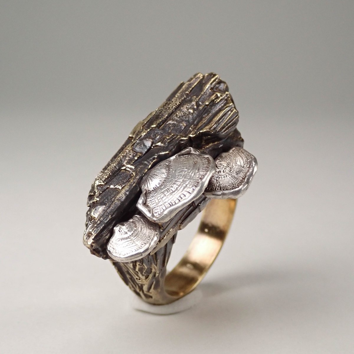 サルノコシカケ OMサルノコシカケ（100g） - 富山のクワ貧