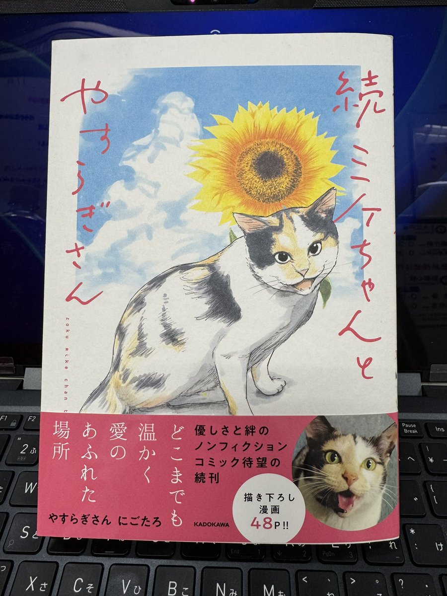 ♡1周年記念SALE♡じゃれねこちゃんとイチョウ ミケ猫 ♡1周年記念SALE
