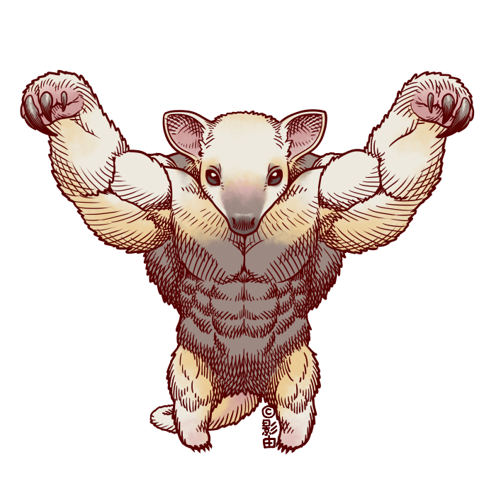 kagelow's tweet image. 今日は #世界アリクイの日 #WorldAnteaterDay なので威嚇するミナミコアリクイの絵。オオアリクイもそのうち描きたい！
この日に向けた日本で飼育するオオアリクイが集まったポスターがかっこいいので是非見てほしい！
世界アリクイの日についてはこちらがわかりやすいです→nhdzoo.jp/diary/naka.php…