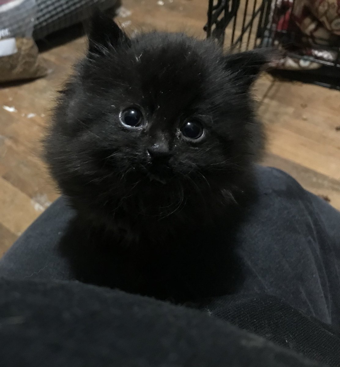 Weegee Orb, circa 2023