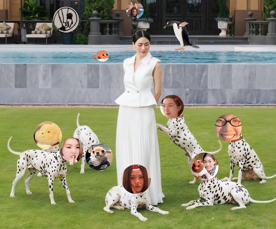 kslinglingks's tweet image. 저히도 낄개요