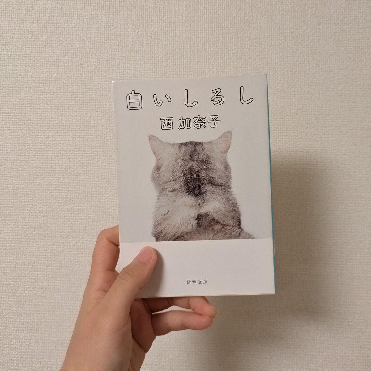 恋が始まる前から失恋してしまったような切なさがあって、この人を好きになったら駄目だってわかっているのに止まることなんてできなくて、すべてをぶつける勢いで猛進していく。どこまでもまっすぐで、純粋な恋愛小説。5年ぶりに再読したけど、まったく色褪せない。
#読了