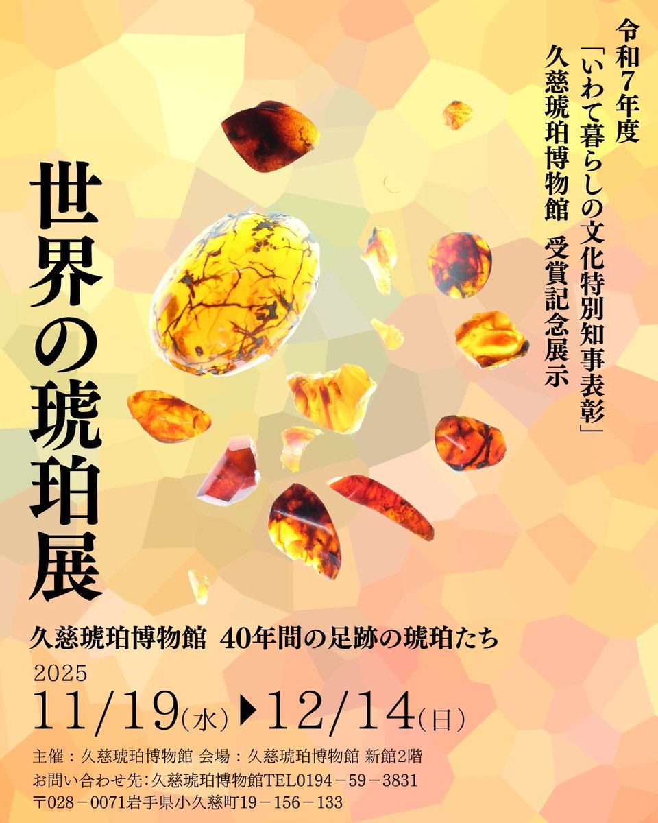 「いわて暮らしの文化特別知事表彰」受賞記念
特別コーナー「世界の琥珀展」博物館40年間収集してきた珍しい世界の琥珀原石たち
新館の2階で開催されます！是非ご覧ください！