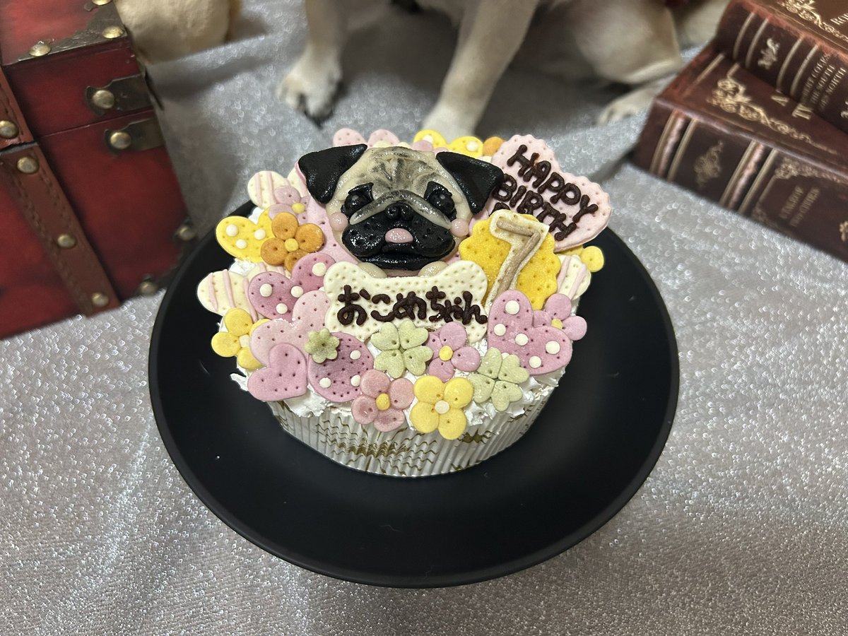 __mami489's tweet photo. 7歳のお誕生日おめでとう。
今年はゴスロリで！！可愛い！！
#ゴスロリ #ゴスロリ衣装 ？ #お誕生日おめでとう #誕生日 #HappyBirthday #pug
#撮影 #犬 https://t.co/NlcJAWQHRT