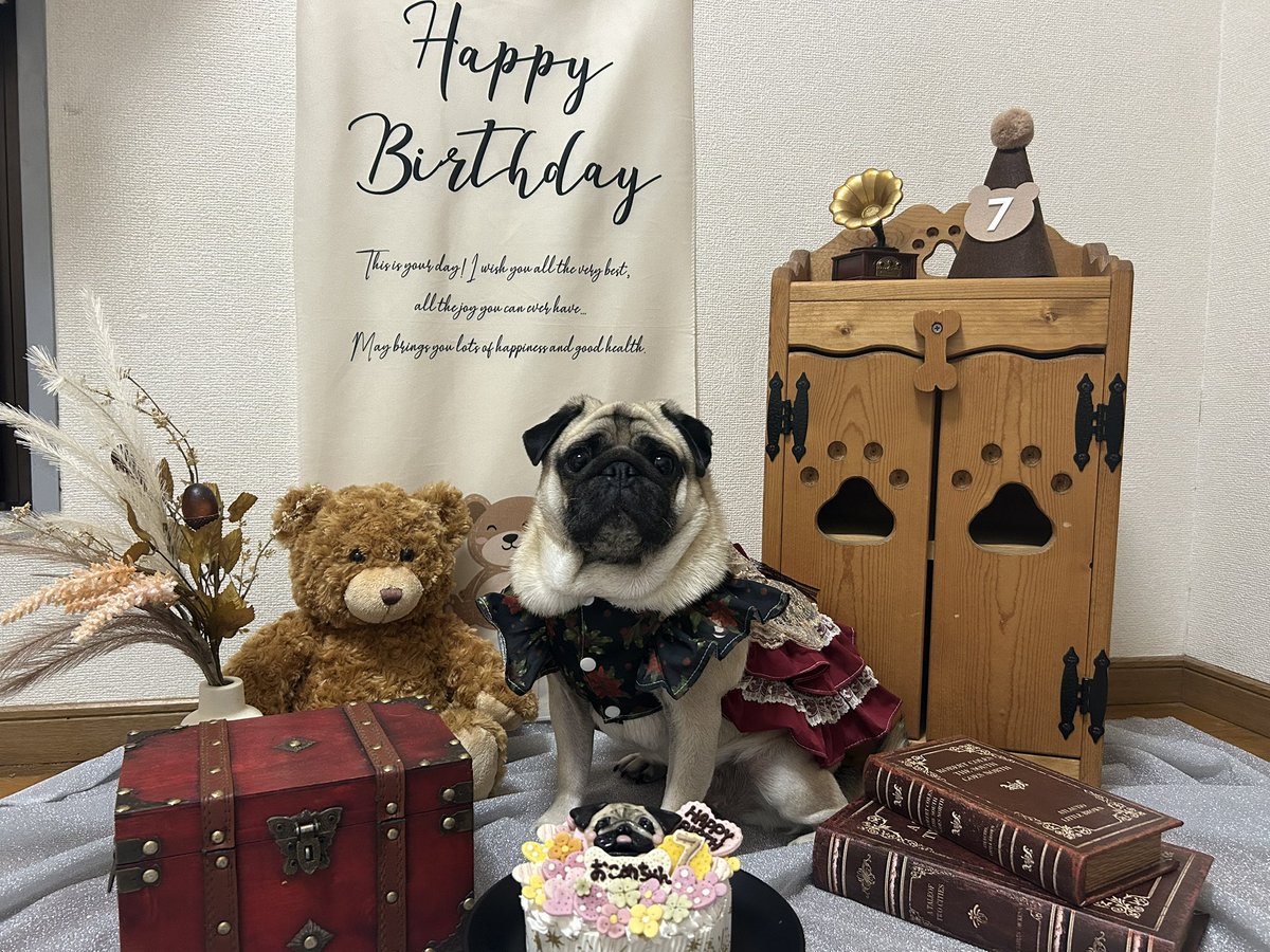 __mami489's tweet photo. 7歳のお誕生日おめでとう。
今年はゴスロリで！！可愛い！！
#ゴスロリ #ゴスロリ衣装 ？ #お誕生日おめでとう #誕生日 #HappyBirthday #pug
#撮影 #犬 https://t.co/NlcJAWQHRT
