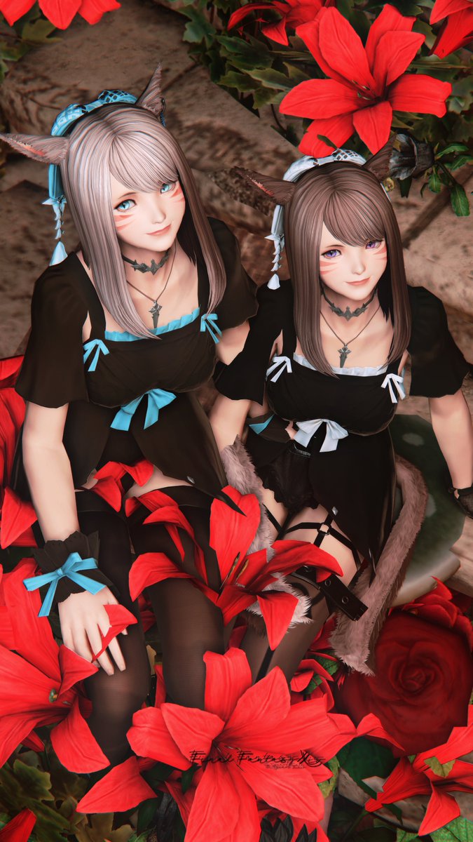 Ri_ri_FFxiv's tweet image. 💐🐈
 #しゃとすたじお #FF14