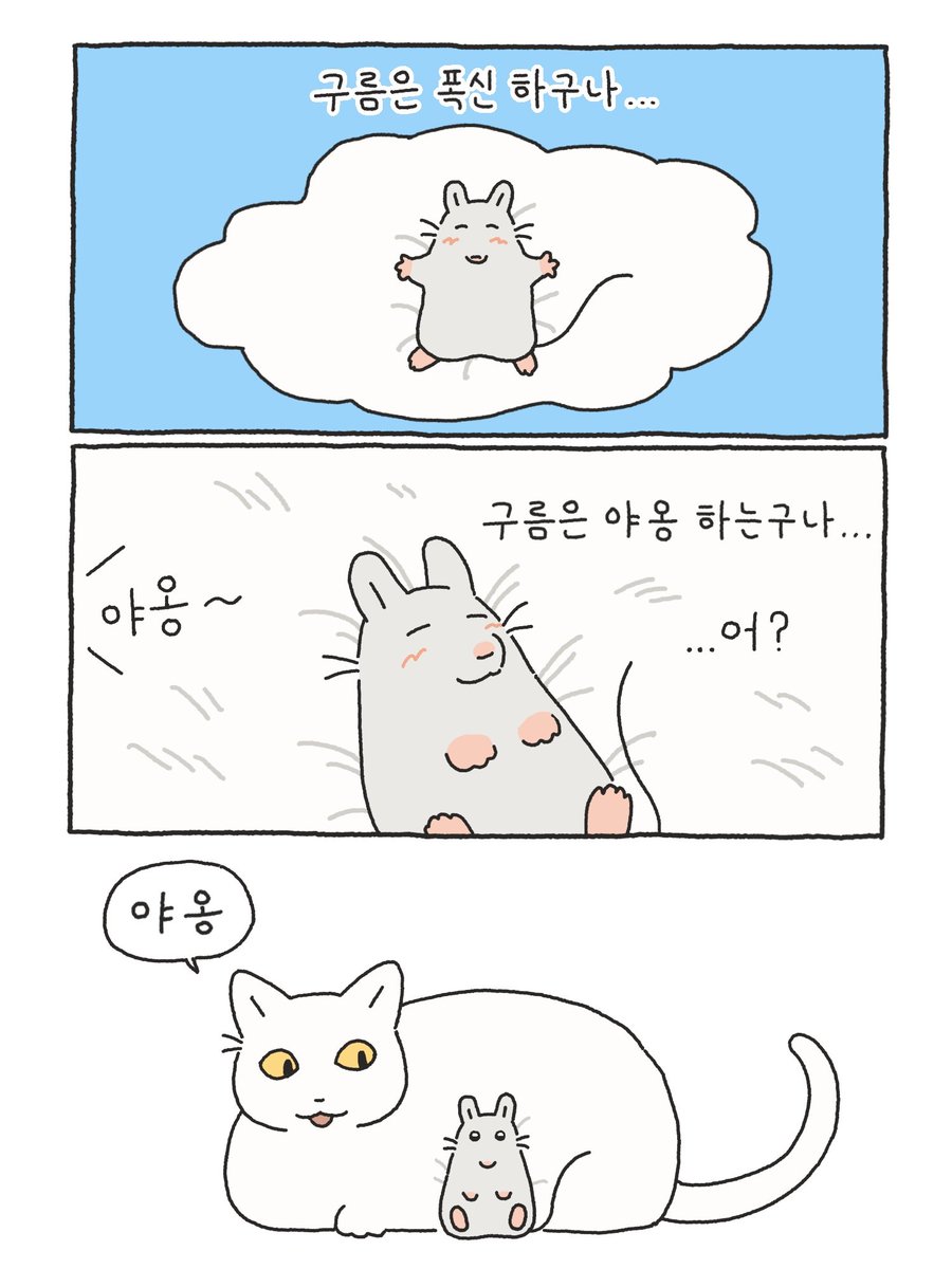구름은 야옹