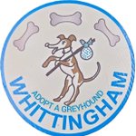 Photo by Whittingham Kennels - Retired Greyhounds Charity (@Whitthounds)