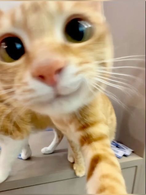 Wannawave (@wannawave) on Twitter photo 