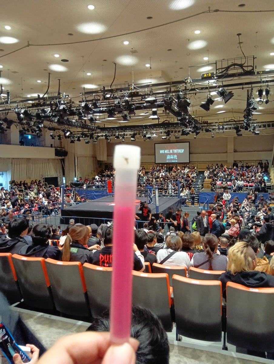 νてぃん tweet media