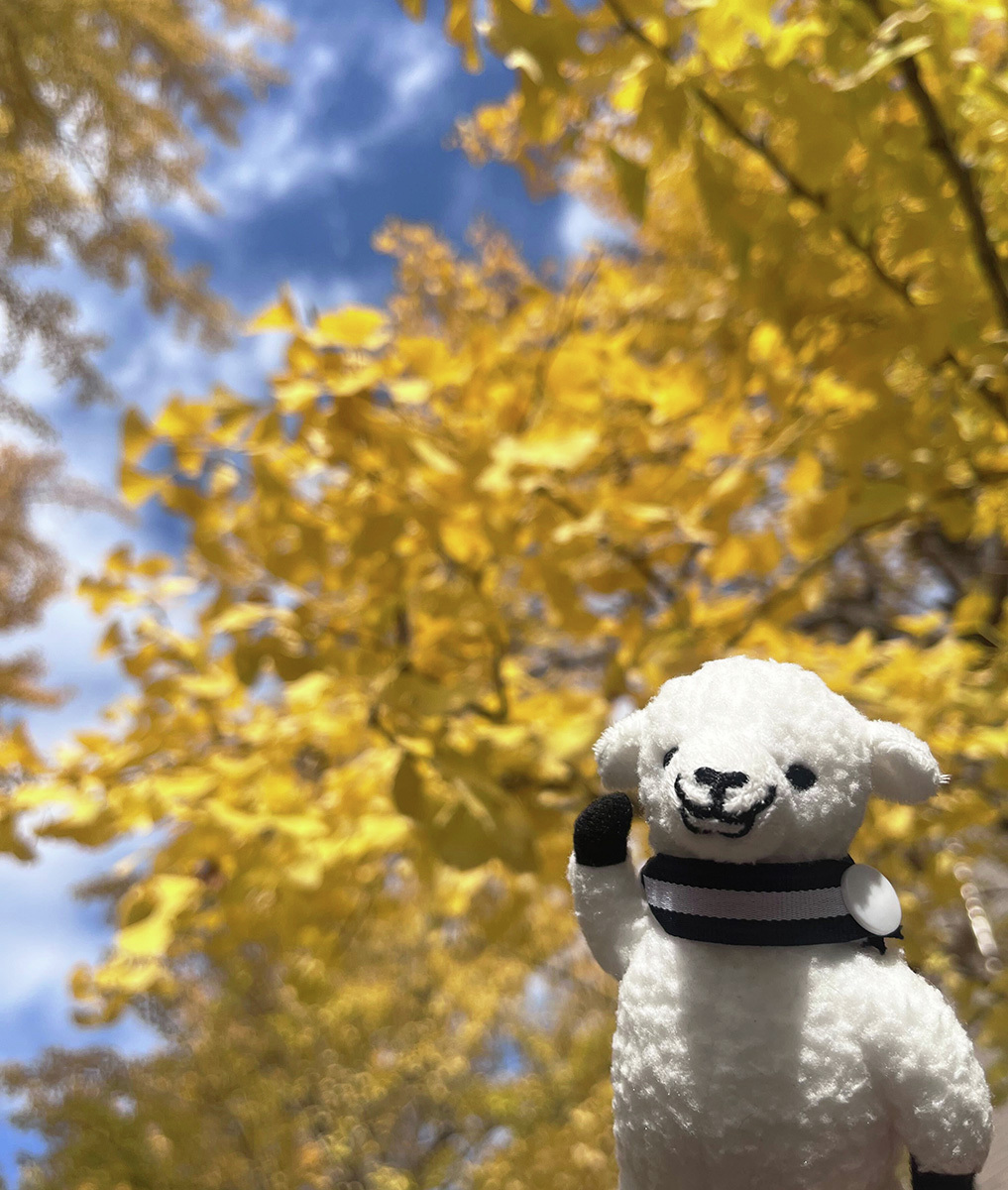 見習いのブタ🎨Lv2 (@888lemonVC) / Posts / X