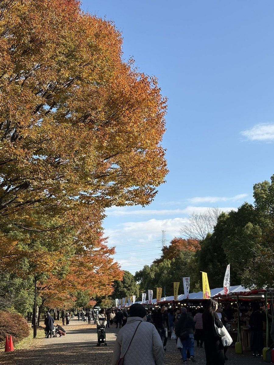 Chika542912's tweet image. 青空だったけど、寒い
都立舎人公園へ行ってきました
大陶器市やってます
24日まで
見ると欲しいものがいっぱい
これ❣️と思ったのは
とってもお高い〜好きなんだけどなー
しばし悩み、悩み
諦める、、、
古伊万里は見るだけです
見るだけで😁
#舎人公園
#大陶器市
#古伊万里