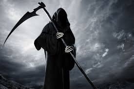 TitvsImperator2's tweet image. In Italy, it’s 33%