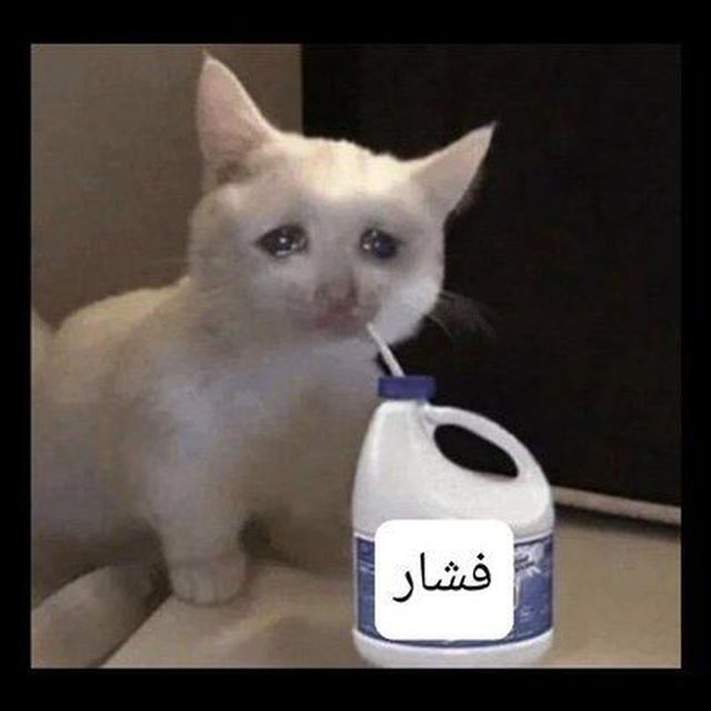 هابین رود tweet media