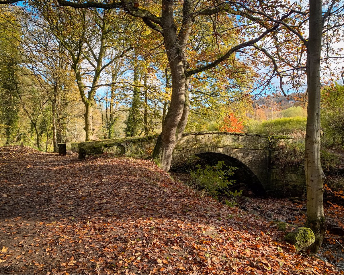 Packhorse Bridge over the Rivelin river.

From Rivelin Valley Trails walk

#Theoutdoorcity #RivellinValley