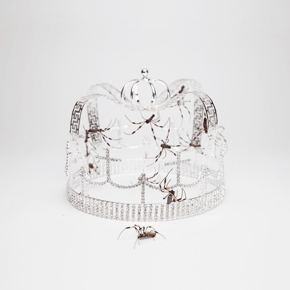 Pop Crave tweet media