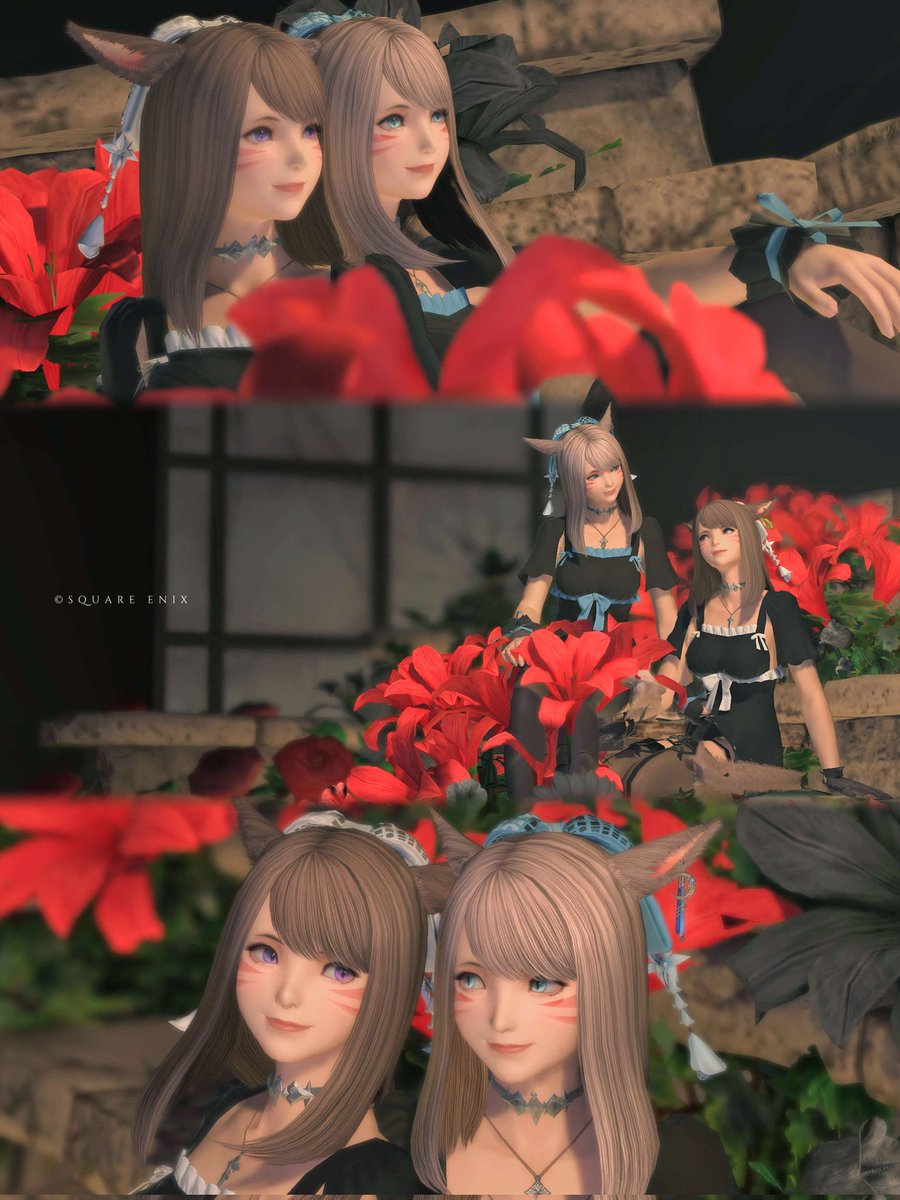 pyulpyulpon's tweet image. 🐱🐱🌺
#FF14 #しゃとすたじお