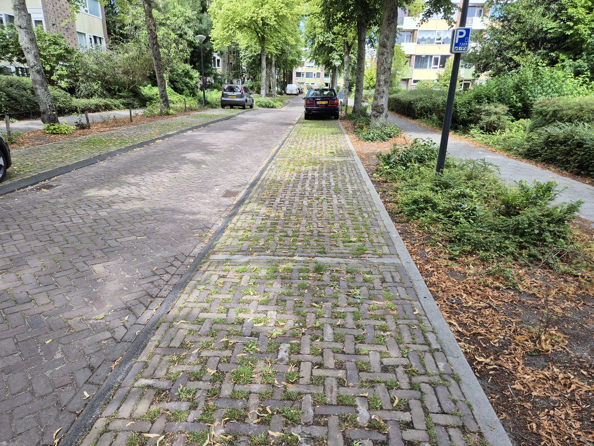 NandaSluijsmans's tweet image. #Groenparkeren🌱 wordt steeds meer norm. Meer regenwater 🌧 bereikt op deze manier de bodem. Scheelt in wateroverlast en goed voor de bodem.

Dit is een mooie variant uit #Leiden.