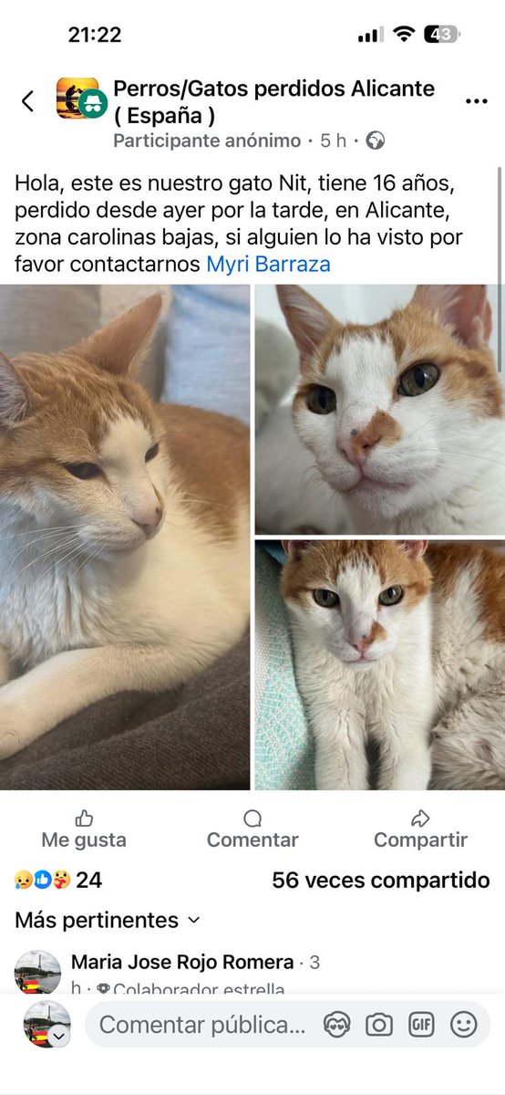 AcofalX's tweet image. URGENTE desaparecido ayer en Alicante tiene 16 años se llama Nit