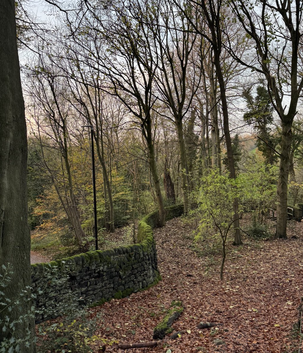 A Yorkshire drystone wall with pleasing curves.
#WallsOnWednesday