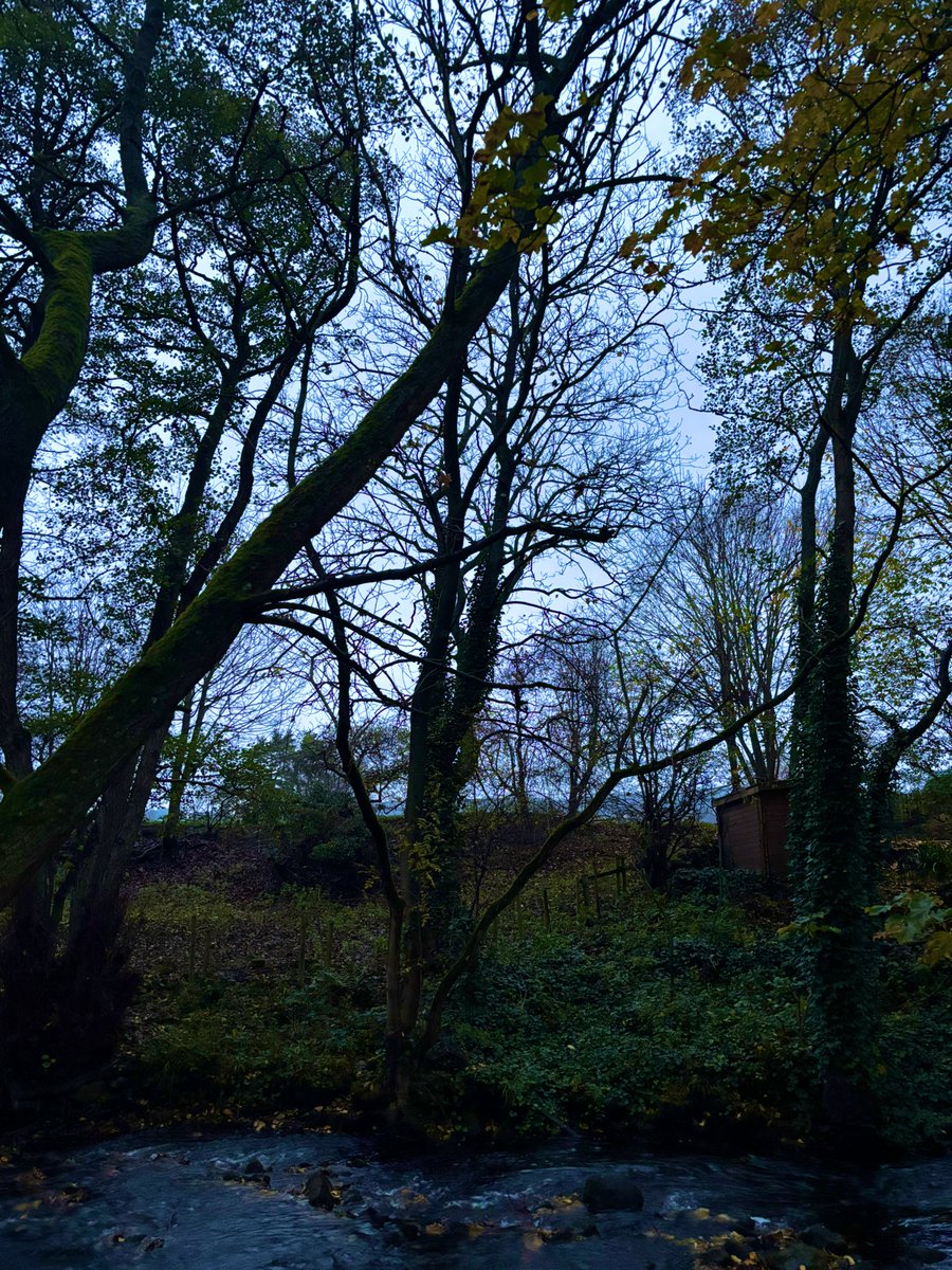 marley79018's tweet image. Reminding myself this week that healing from illness is a journey not a race. 🙏✨

 &quot;I firmly believe that nature brings solace in all troubles” Anne Frank ❤️

#Mindfulness #MotherNature #TreeClub