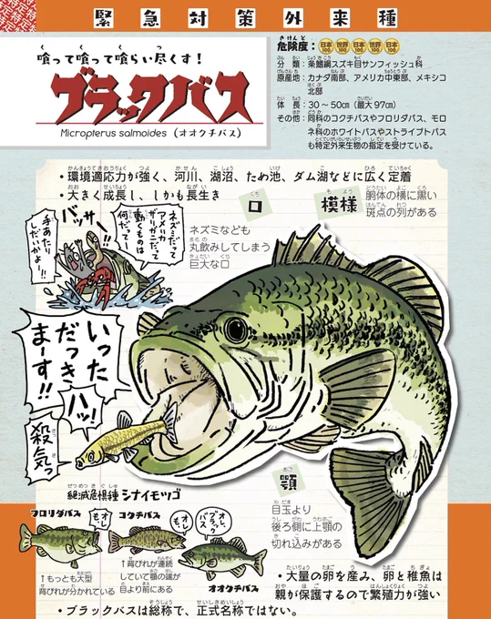 編集の話が盛り上がってるけど、漫画だけでなく、こういう生き物本もどんな編集さんに見つかるかでだいぶ変わってくる。生物名のロゴを全種類描き分けてほしいと言われた時は、マジかこの人イカれてると思った。

#外来いきもの図鑑
https://t.co/yNIRYuK6IE

結果、楽しんでもらえる本にはなった。 