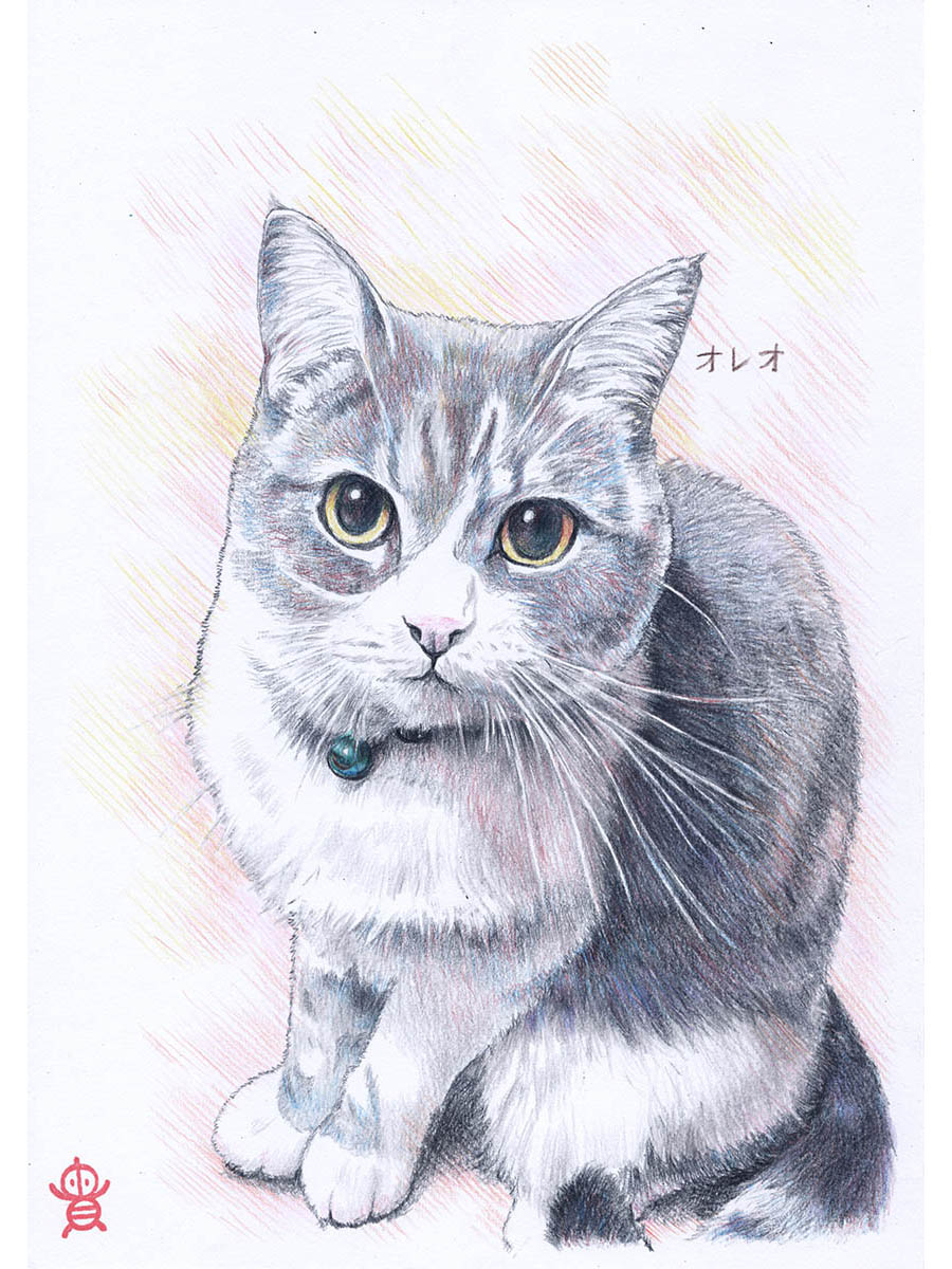 「ココナラからのご注文でお描きした似顔絵、お客様に許可いただき掲載 愛猫オレオちゃ」|貴房のイラスト