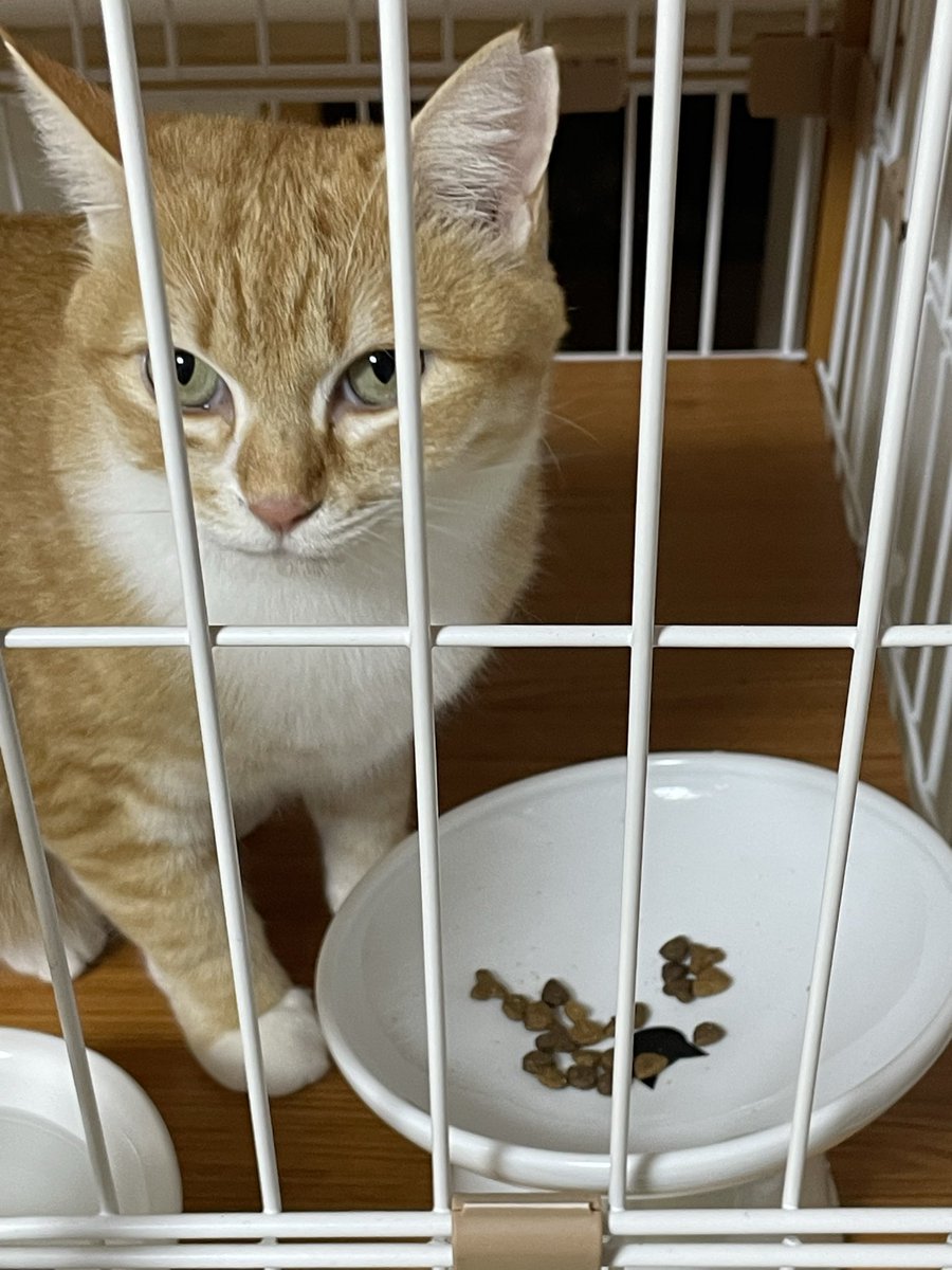 あっきー※※プロフ確認お願いします。 あっきー※※プロフ確認お願いします。 Kei プロフ確認お願いします。様