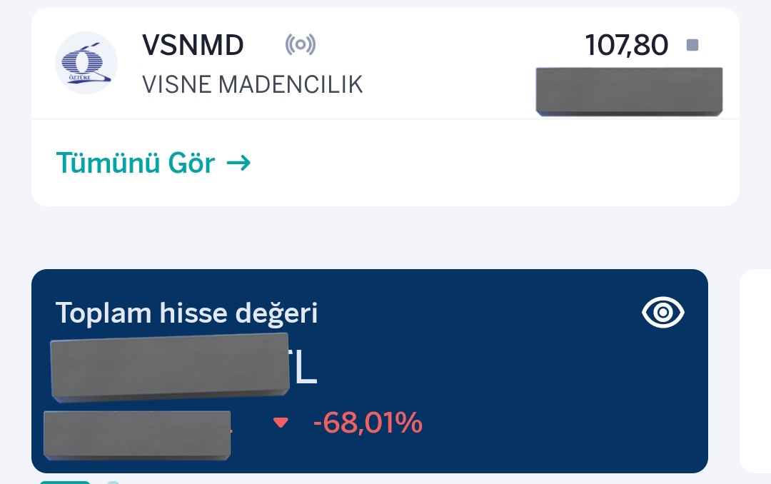 Soran olursa borsa yatırım yeridir.Hırsızlar ülkesi.#VSNMD