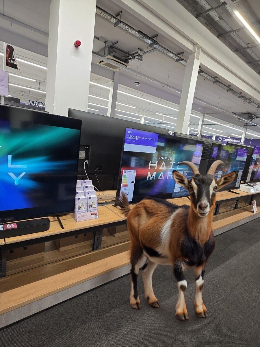 currys's tweet image. Just spotted McTominay in Currys buying a new TV 🐐🏴󠁧󠁢󠁳󠁣󠁴󠁿