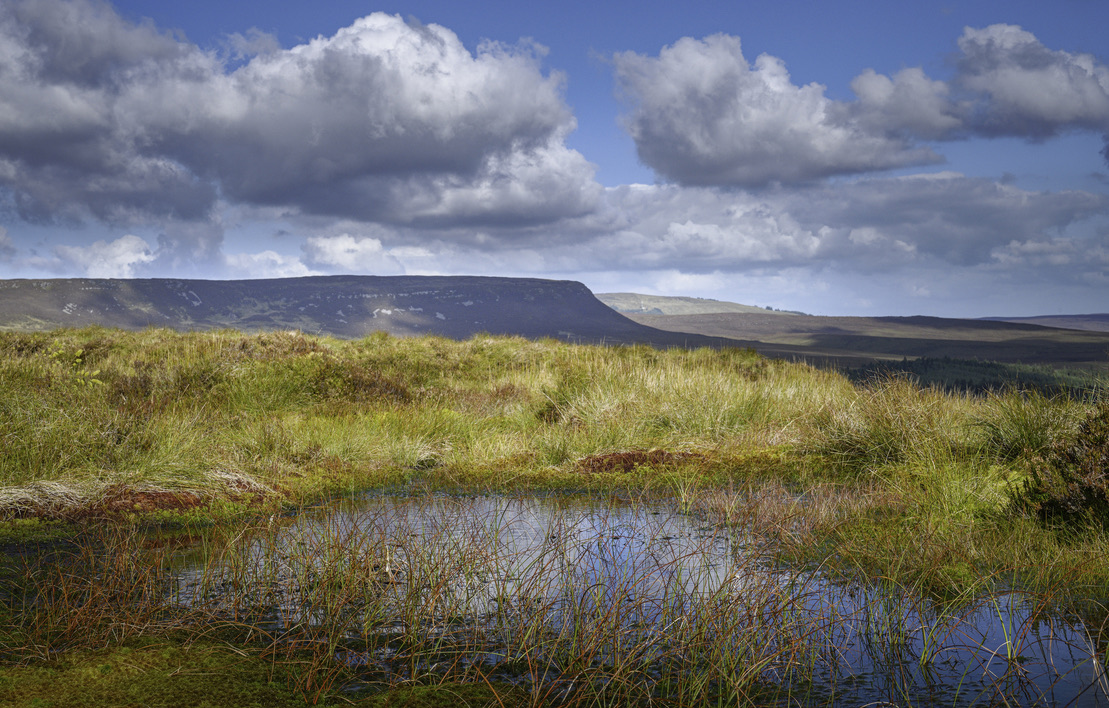 LIFE IP Wild Atlantic Nature tweet media