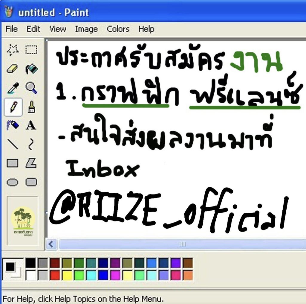 또냥 tweet media