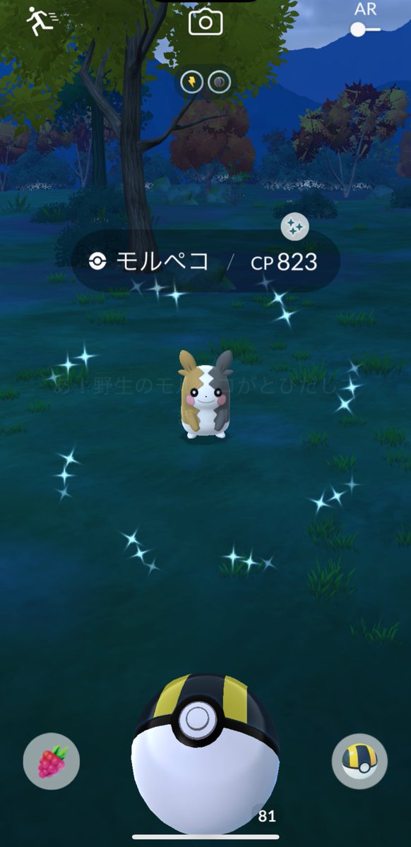 Yu75737784's tweet photo. 色違いモルペコー‼︎
エモンガも色違いきた💛
田舎だからタスク拾うのも大変だったけど満足しました😊
#ポケモンGO https://t.co/h30Y1dkpwi