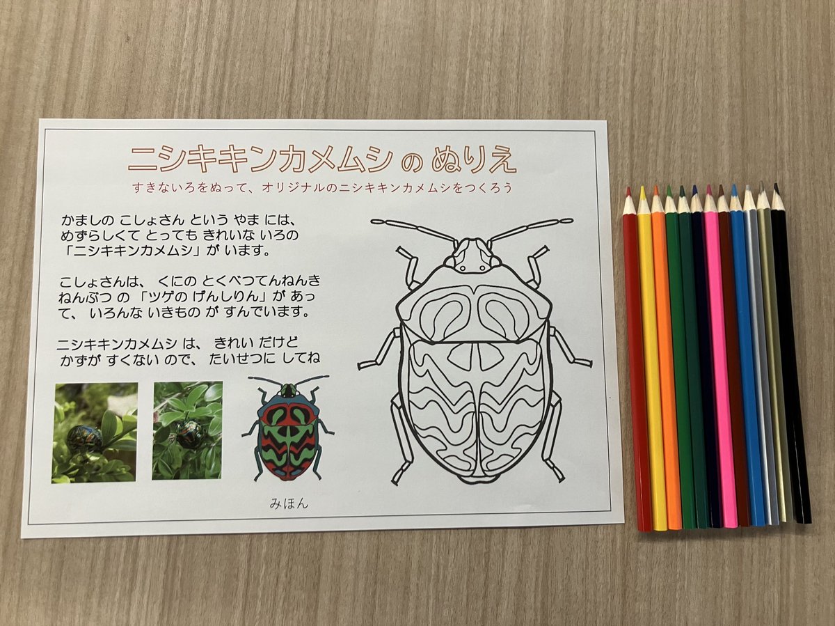 kamaciic's tweet photo. 11/23はグッドウッドモット木育まつり
へ昆虫産業ブースを出店します！
昆虫の切り絵や塗り絵などお子さんが楽しめるものを用意して待ってます！ぜひお立ち寄りください！
#嘉麻市　#昆虫産業
▼イベント詳細
https://t.co/PU6nRlWxXS https://t.co/n7vCyk0PpY