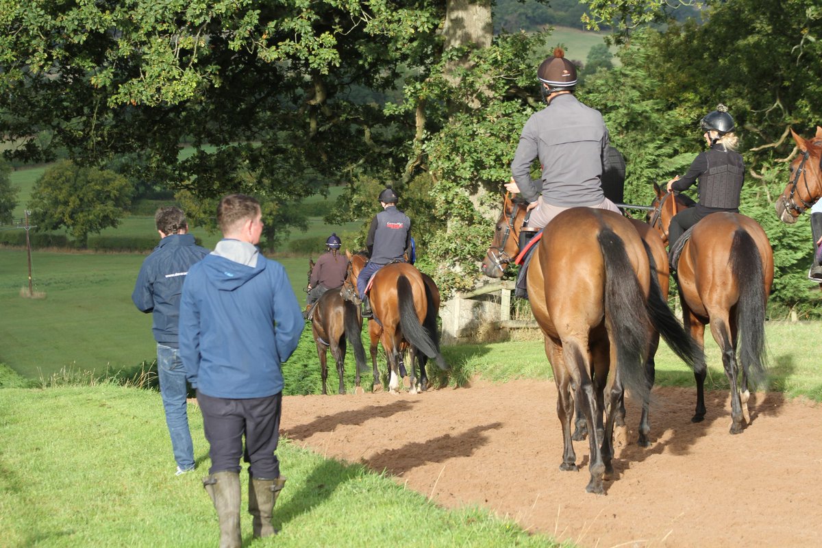 Six runners today 

Catch Catchfire for @Ghost_OfASmile runs <a href="/WarwickRaces/">Warwick Racecourse</a> under <a href="/CharlieTodd00/">Charlie Todd</a> 

Newton Duke under Liam Wright goes <a href="/kemptonparkrace/">Kempton Park Racecourse</a> where <a href="/ryankavanagh01/">Ryan kavanagh</a> rides Uniting (4.05), Supido (5.40), One And Gone (6.10) + Tiger (8.10)

👇
bit.ly/3iSPA3A