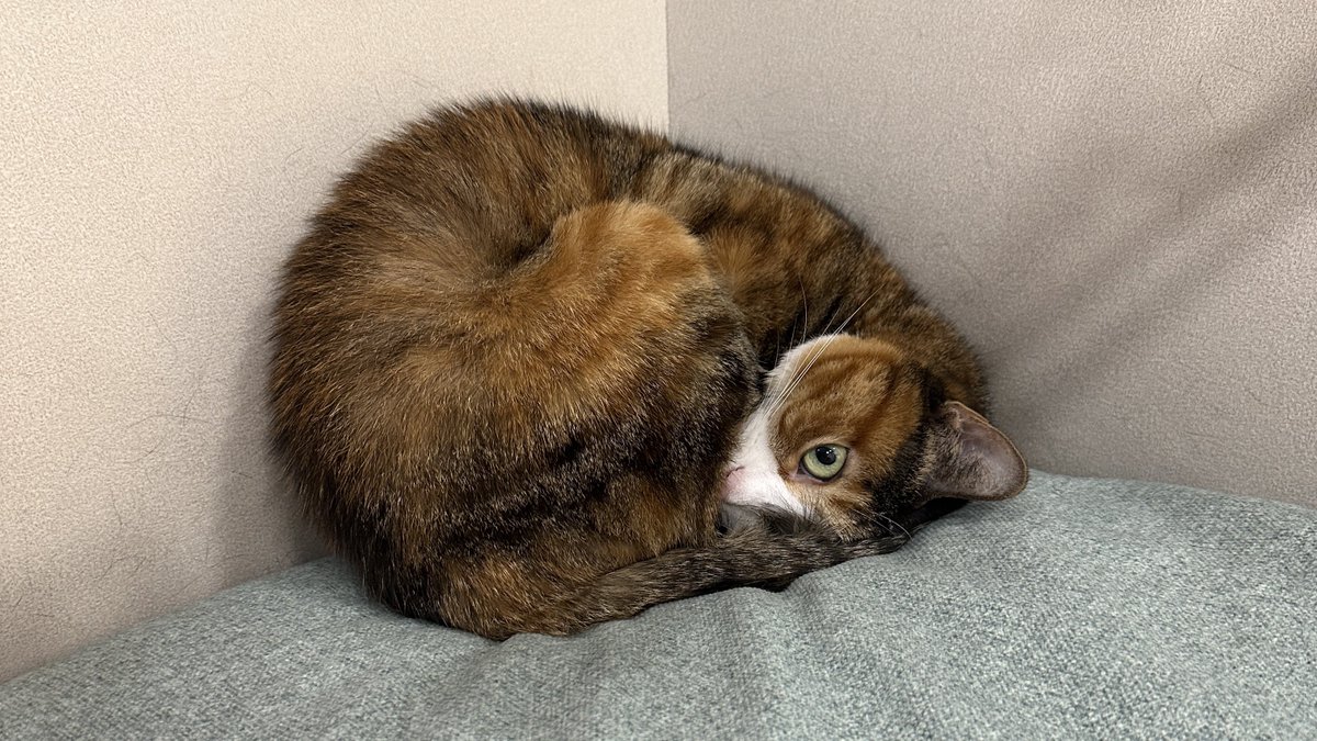 v2soo2's tweet image. 