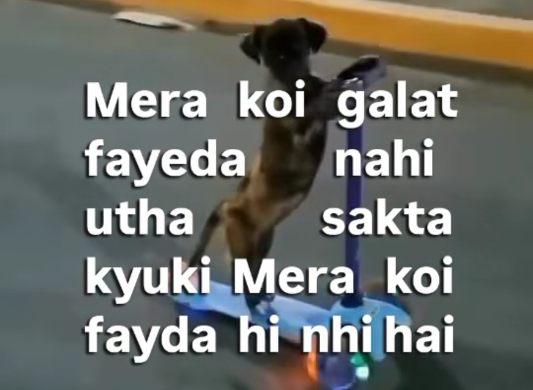 abbewowkyabaat's tweet image. 