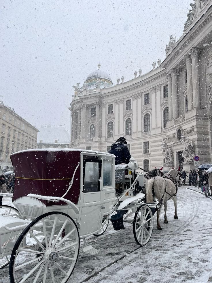 soylebisakinlik's tweet image. winter in vienna
