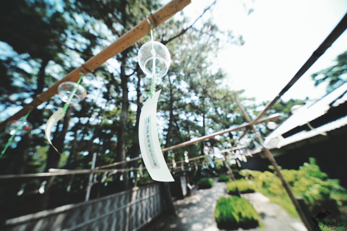 cx5_with_frogs's tweet image. 1枚目から10、16、16、24。

広く撮るのが必ず間違いだとも思わないけど、被写体に寄った方が広角らしさは出ると思う。