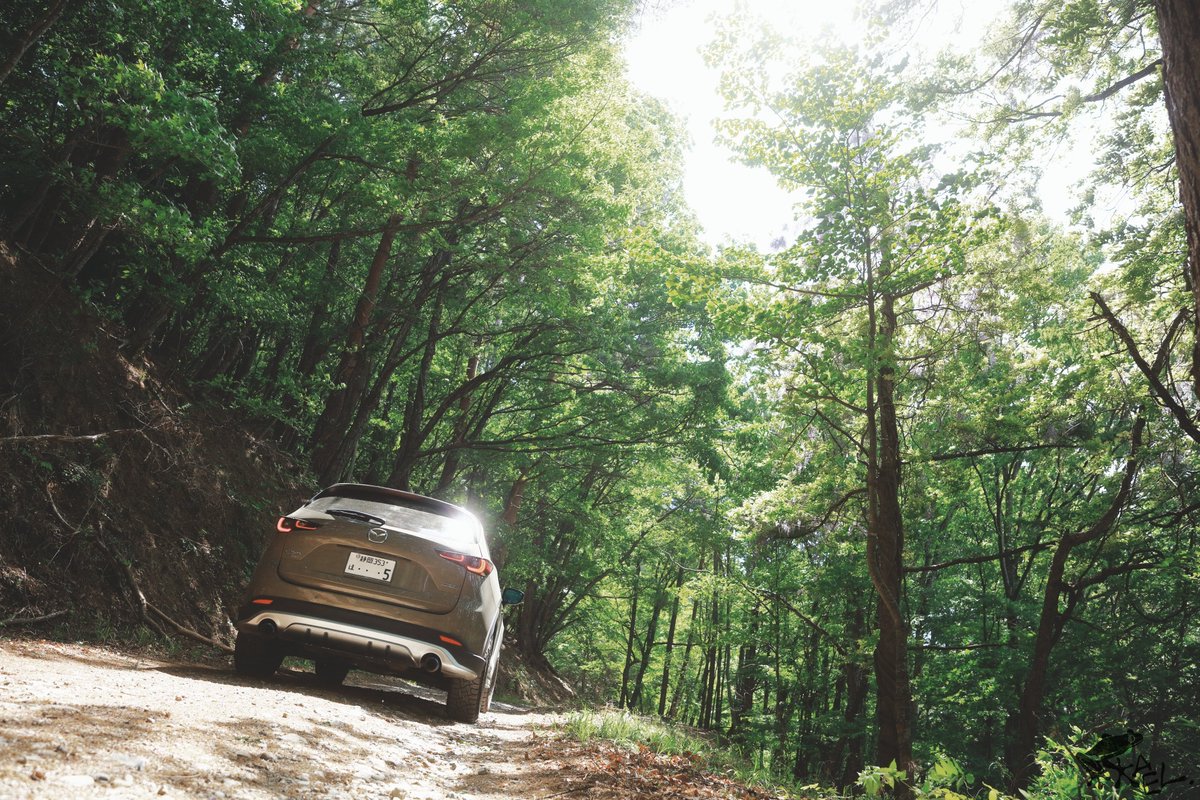 cx5_with_frogs's tweet image. 1枚目から10、16、16、24。

広く撮るのが必ず間違いだとも思わないけど、被写体に寄った方が広角らしさは出ると思う。